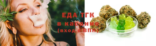 мет Алексин