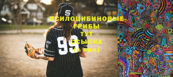 дживик Алзамай