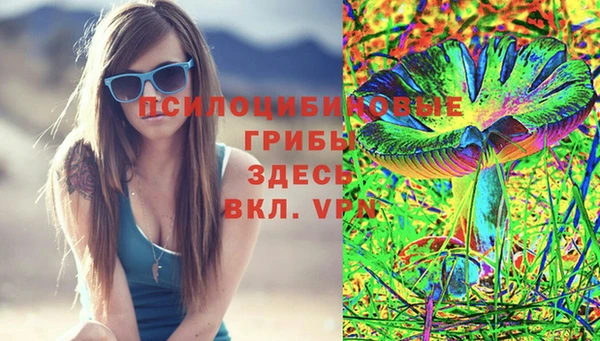 дживик Алзамай