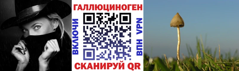 Галлюциногенные грибы MAGIC MUSHROOMS  купить закладку  Ахтырский 